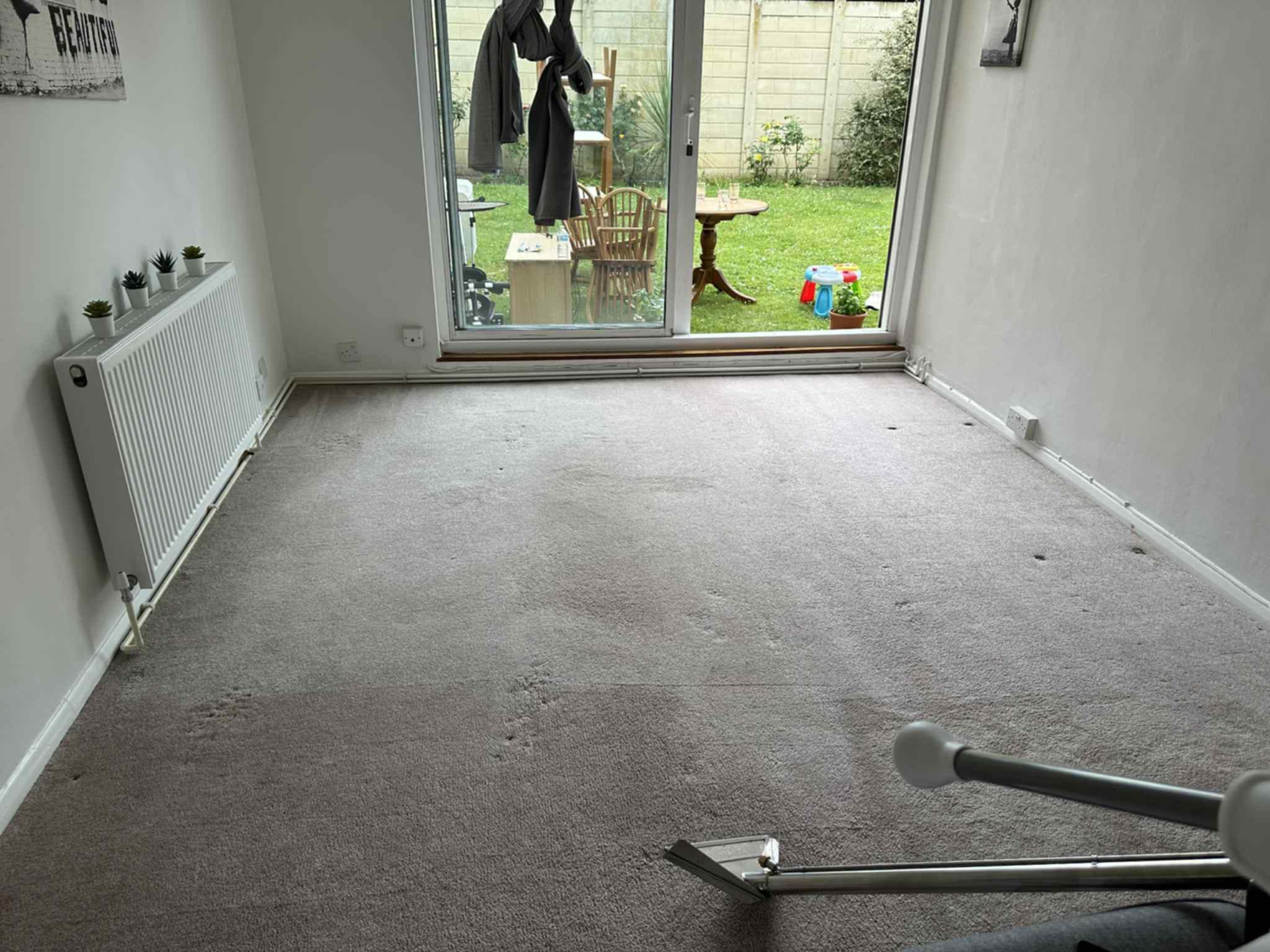 Professional carpet cleaning equipment in action