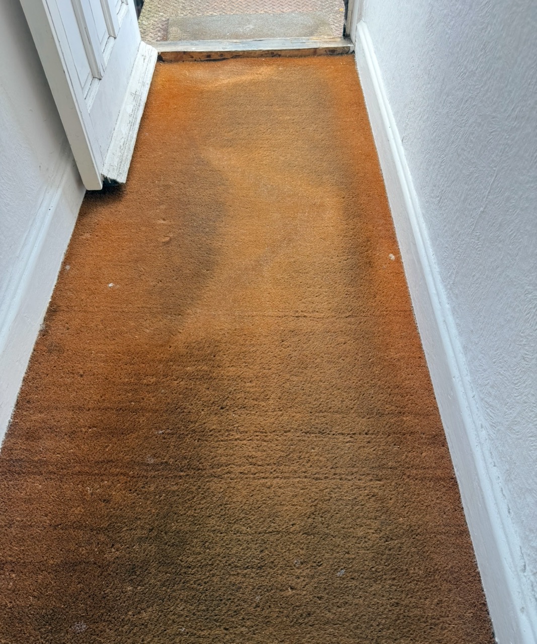 Freshly cleaned hallway carpet showing excellent results
