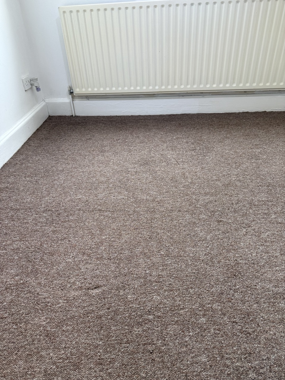 Clean textured carpet in bedroom showing professional cleaning results