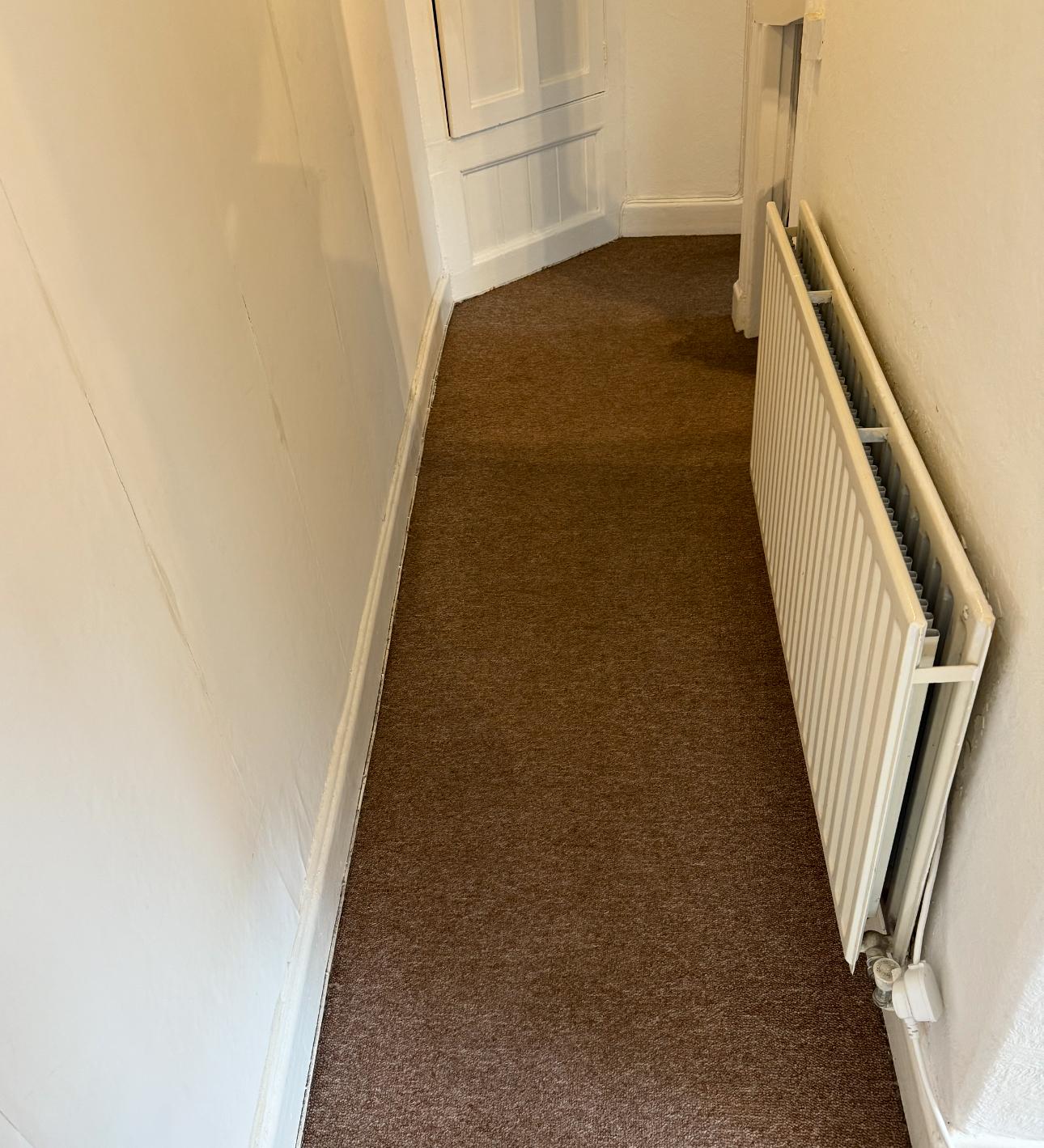 Freshly cleaned hallway carpet