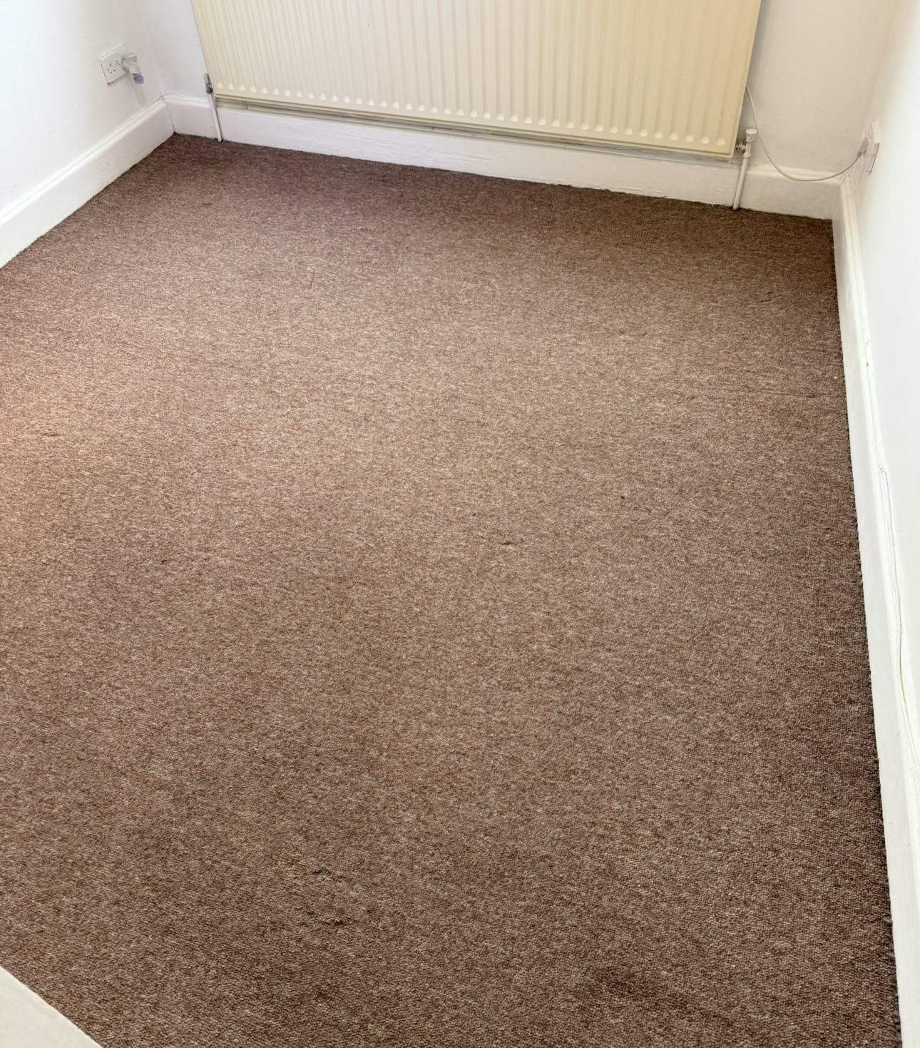Clean carpet in bedroom