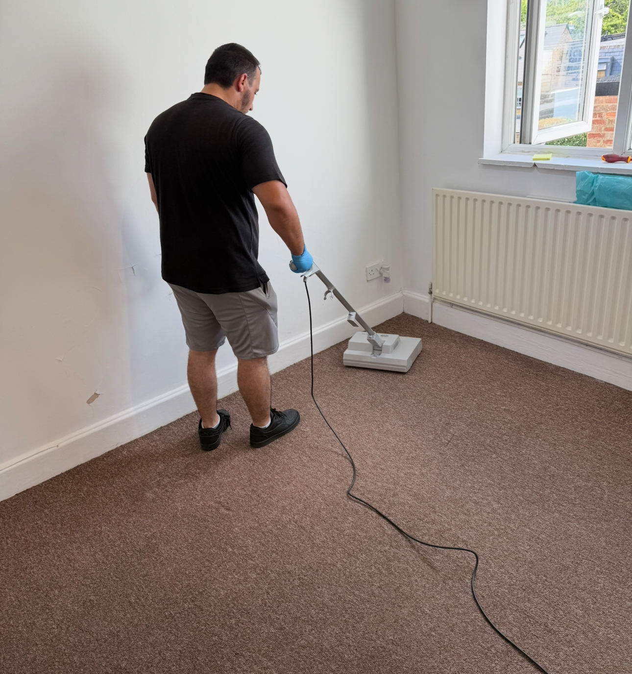 Professional carpet cleaning in progress